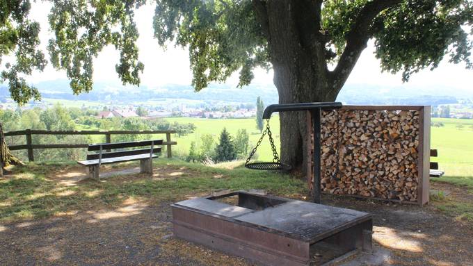 Rücksichtslose Griller ärgern die Stadt