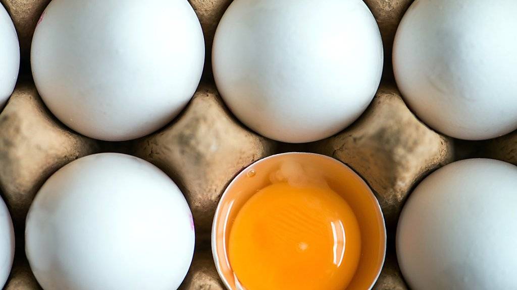 Der Skandal um Eier, die mit einem Insektizid belastet sind, erreicht nach den Niederlanden, Belgien und Deutschland nun auch die Schweiz: Aldi Schweiz nimmt vorsorglich Importeier aus den Regalen. (Symbolbild)
