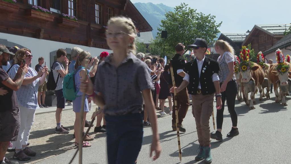 Hunderte Kühe ziehen durch Gstaad