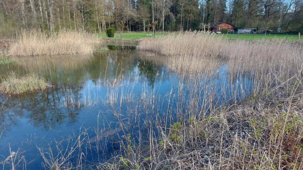 Das Naturschutzgebiet Venedig in Sursee LU wird offiziell als Amphibienlaichgebiet von nationaler Bedeutung anerkannt.