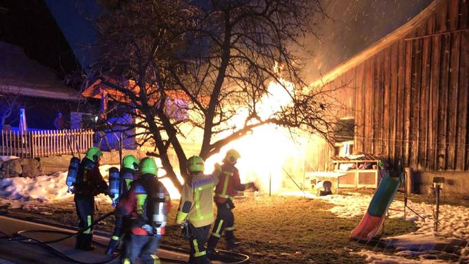 Gartenhaus brennt vollständig ab