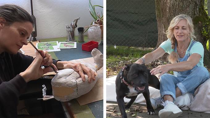 Tierpräparatorin / Pleiten, Pech und Pannen.....