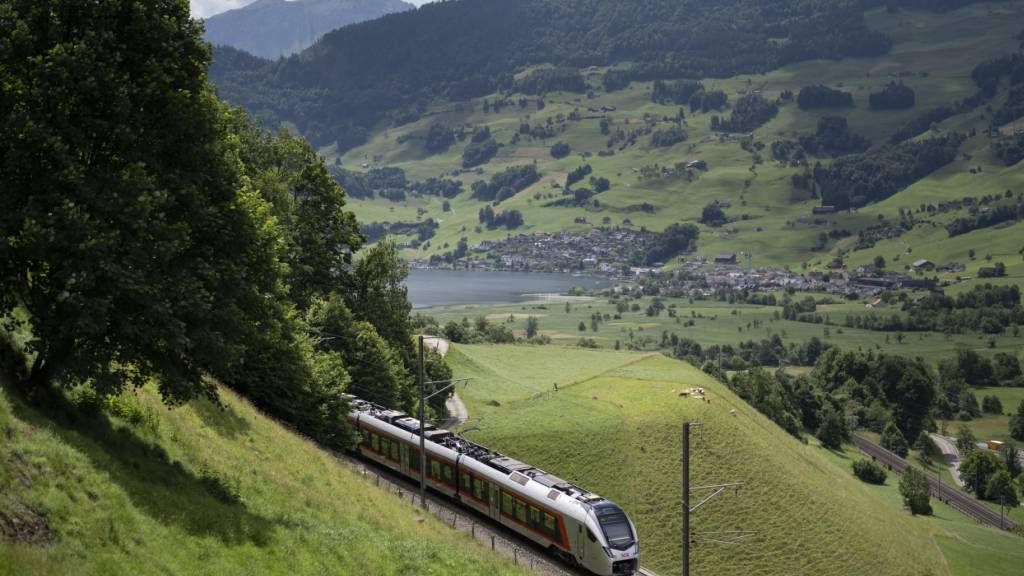 Eine S-Bahn der Südostbahn auf der Strecke Arth-Goldau-Biberbrugg im Kanton Schwyz. (Archivaufnahme)
