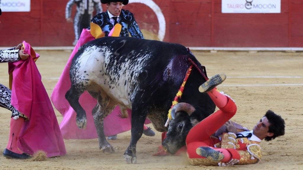 Tödlicher Unfall im spanischen Teruel: Beim Kampf mit einem Stier ist ein 29-jähriger Torero getötet werden - der erste seit 1985.
