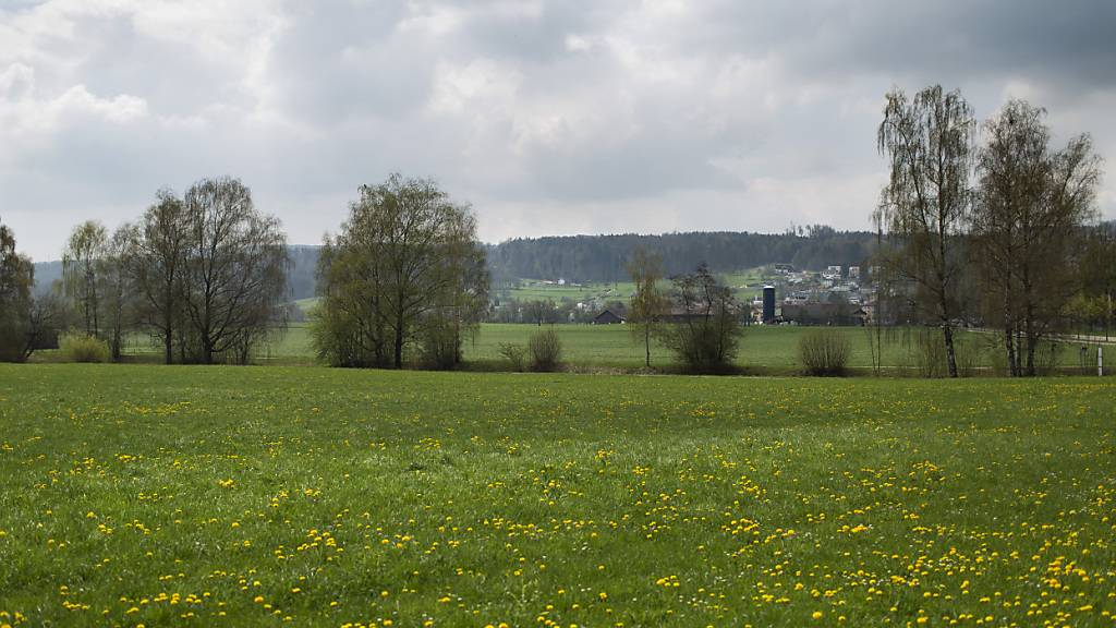 Mehr Schwermetall in Schweizer Grasland festgestellt