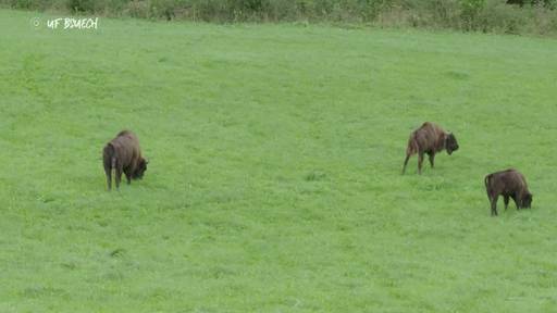 «Uf Bsuech met em Camper» in Welschenrohr