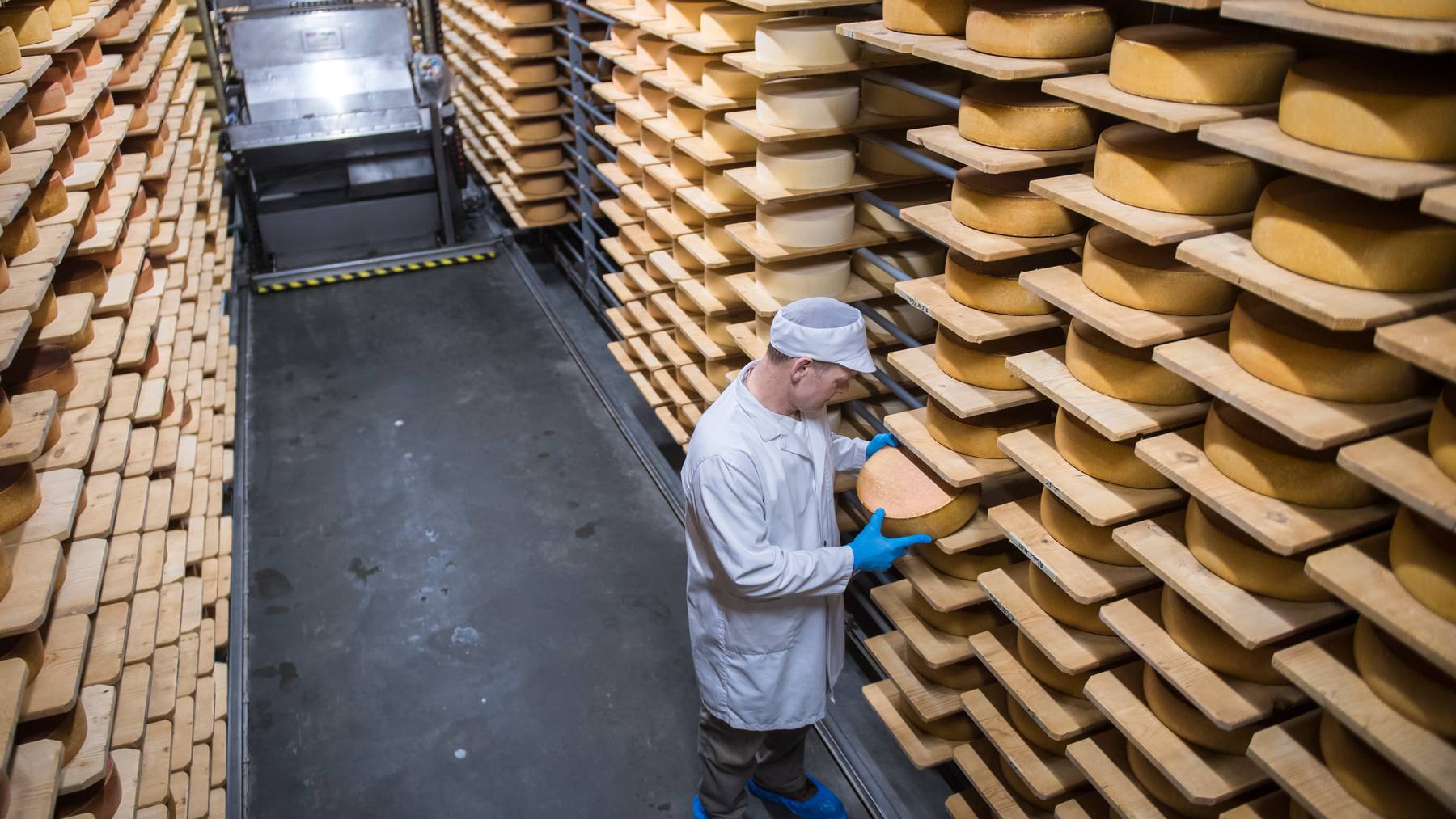 Während die geförderte Milchmenge sinkt, nimmt die Produktion von Käse zu.