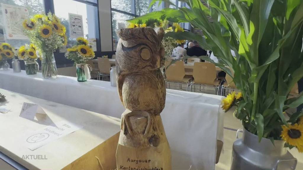 Schwingerpreis geklaut: In Nussbaumen entwendet ein Dieb ein Velo vom Fahrradträger