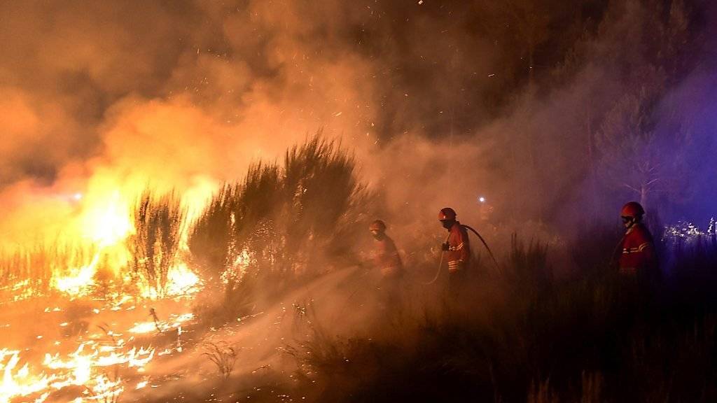 Die Einsatzkräfte sind im Dauereinsatz: Feuerwehrleute bekämpfen einen Buschbrand in der Region Viseu nahe Porto. Weitere Brände brachen in Südportugal und auf Madeira aus.