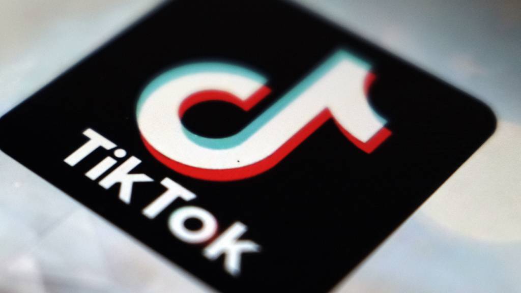 SVP und SP politisieren am häufigsten auf Tiktok