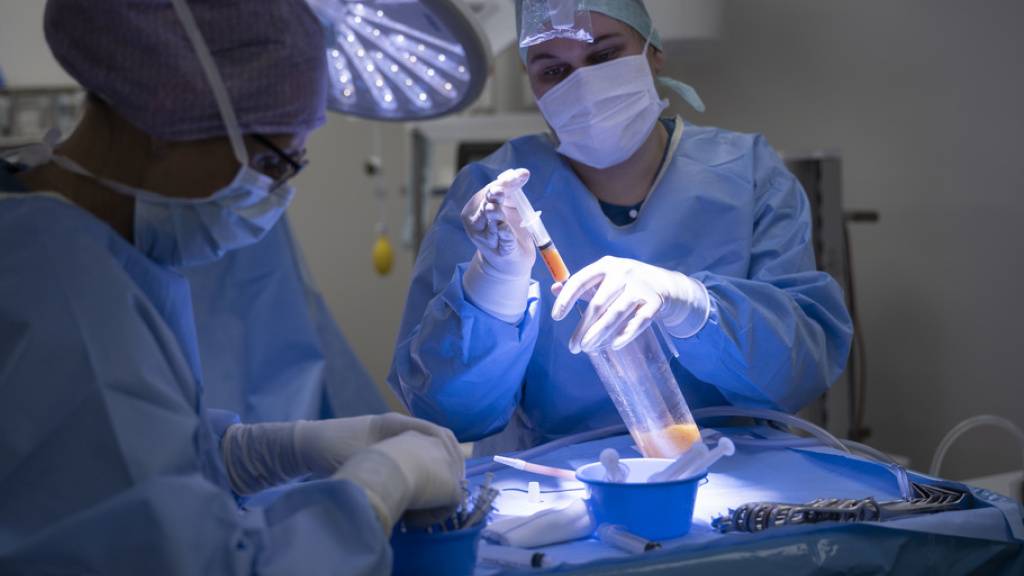Eine Operationsassistentin verarbeitet Körperfett während einer Operation zur Entfernung von Brüsten. (Archivbild)