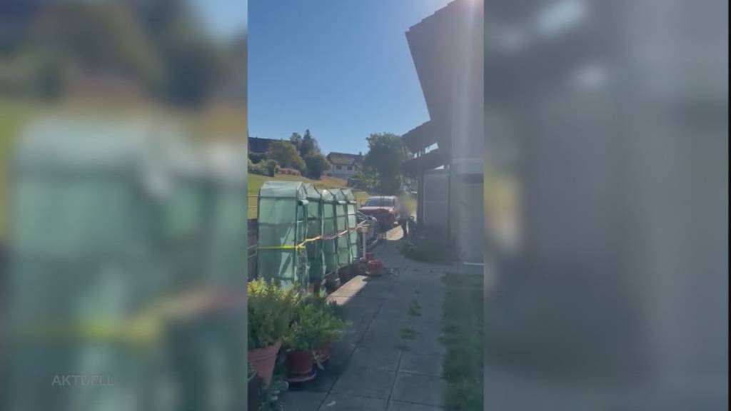Nachbarschaftsstreit: Frau demoliert die Haustüre und das Auto des Nachbarn