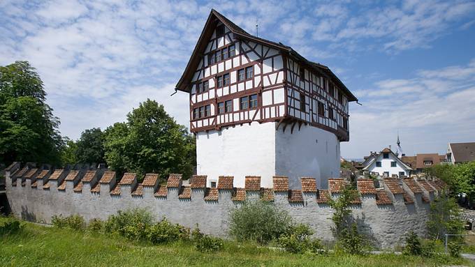 Direktor des Museums Burg Zug tritt zurück