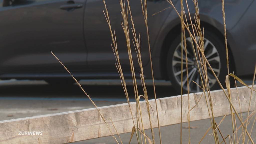 Zürcher Gemeinderat will weiterhin Parkplätze ersatzlos streichen können