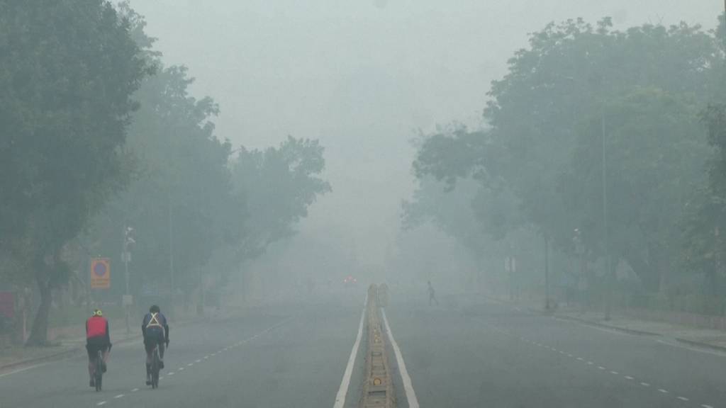 Schulfrei wegen Mega-Smog: Kinder in Neu Delhi haben früher Winterferien