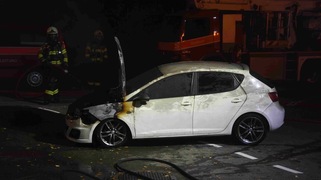 Das Auto brannte in einer Garage in Goldach.