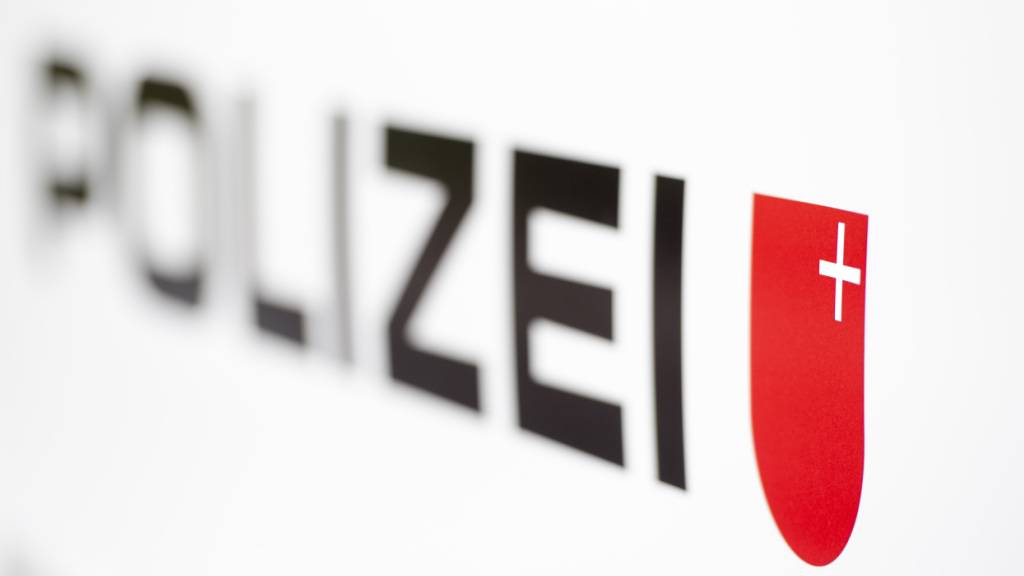 Diensthund Ty stellt flüchtigen Unfallverursacher in Reichenburg SZ