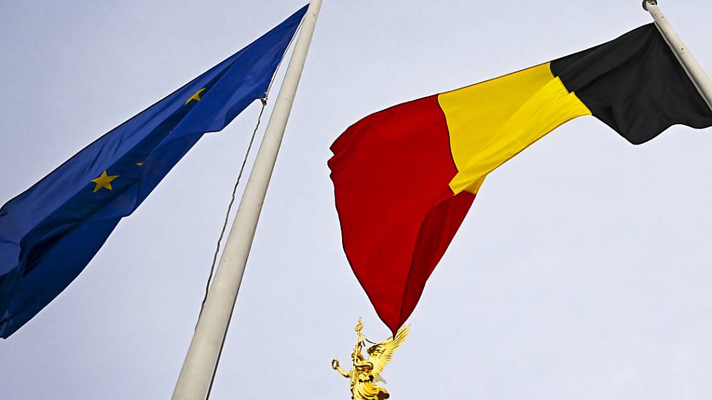 ARCHIV - Belgien hat mit dem Jahreswechsel den alle sechs Monate rotierenden EU-Ratsvorsitz übernommen. Foto: Jens Kalaene/dpa