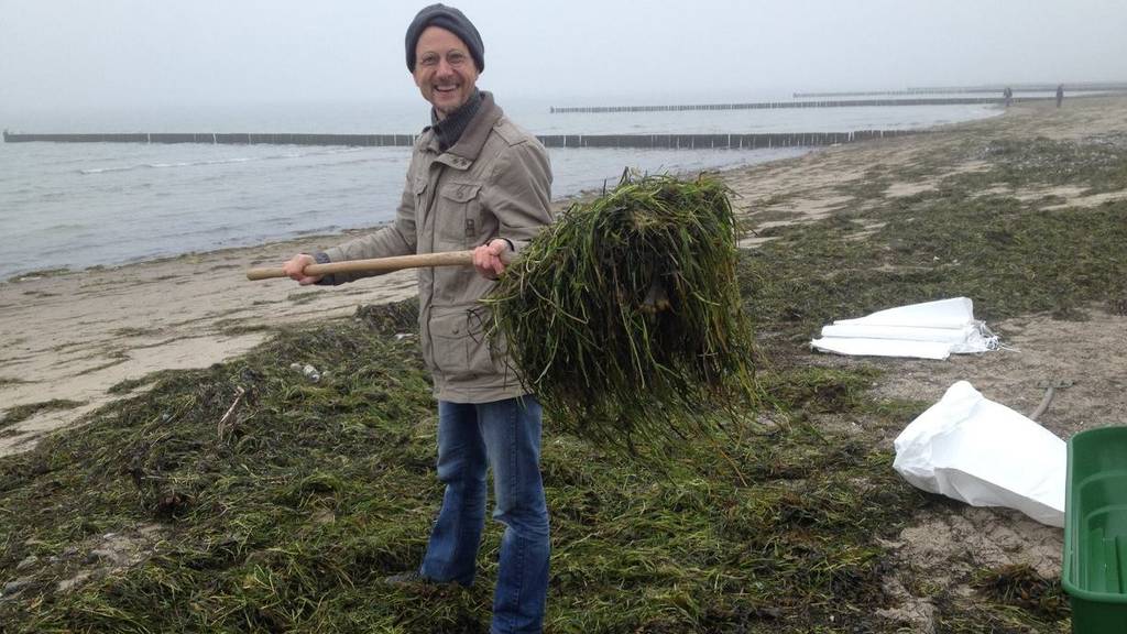 Seegras Good News of the Day