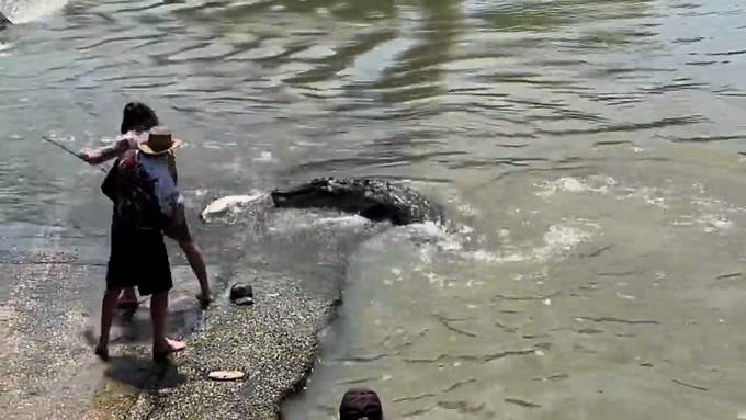 Kampf um Fisch: Angler legt sich mit Krokodil an