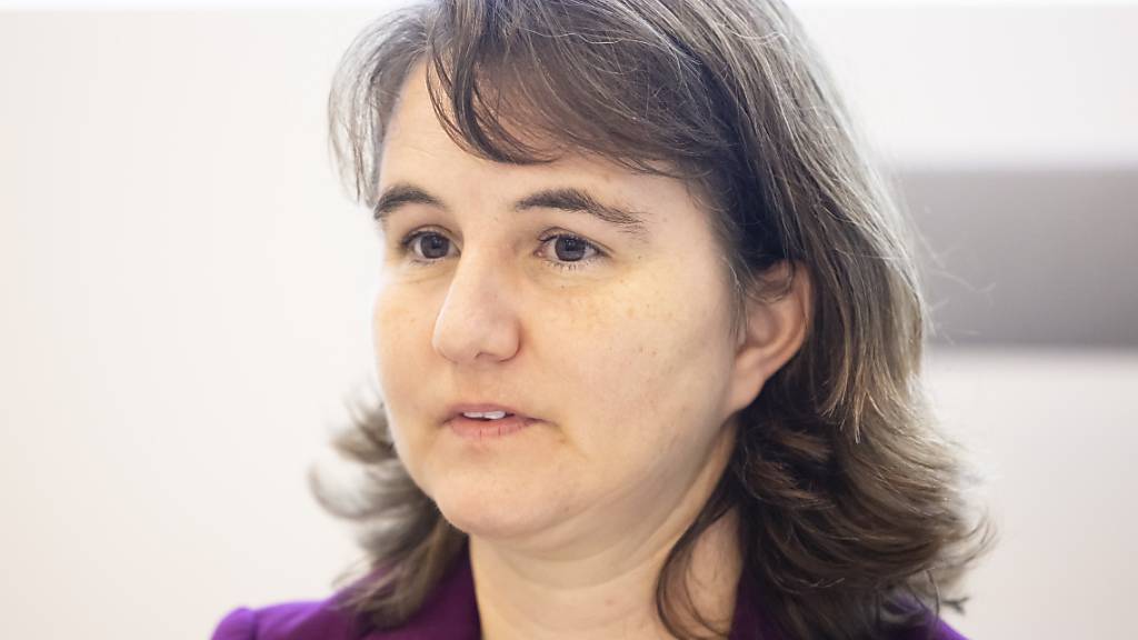 Stadträtin Simone Brander (SP) informierte am Montag, wie CO2 der Klärschlammverwertung abgeschieden und dauerhaft gespeichert werden soll.