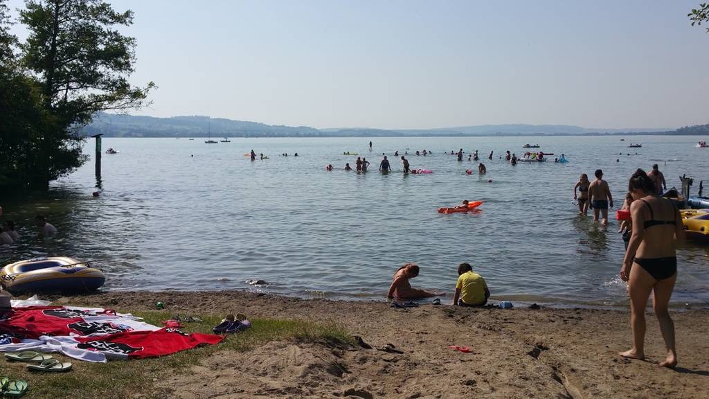 Spätsommer: Wasser oder Wiese?