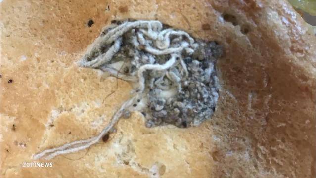 Ekel-Burger(-King): So gross ist der Imageschaden