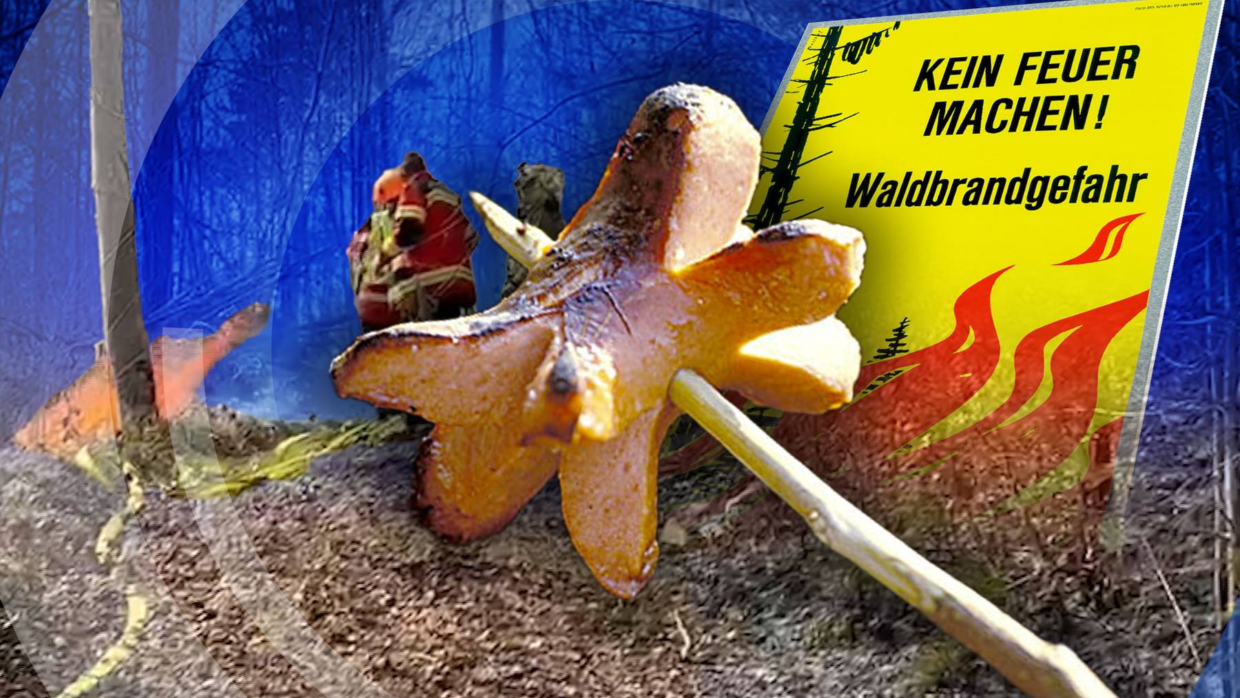 Waldbrandgefahr: Kantonspolizei mahnt zur Vorsicht 