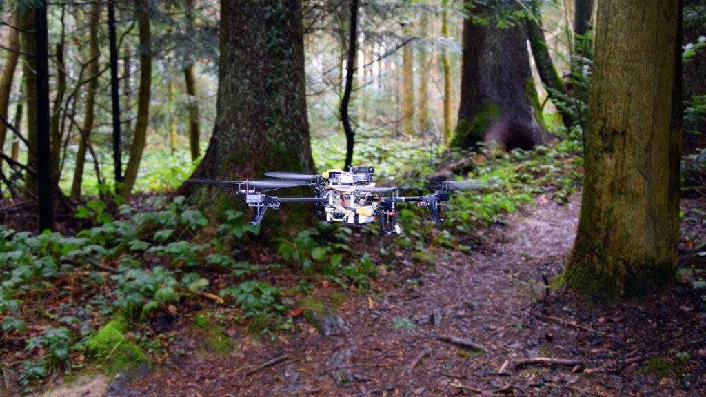 Mit zwei Kameras und einem lernenden Algorithmus ausgestattet, können Drohnen Waldwege erkennen und ihnen folgen.
