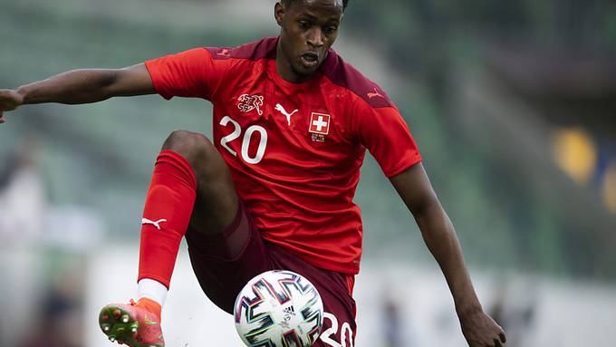 Edimilson Fernandes von Mainz nach Bielefeld