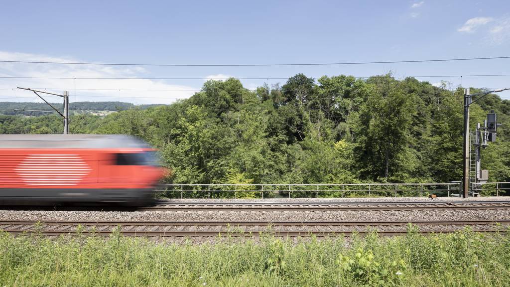 Zwischen Aarau und Zürich kommt es zu Verspätungen 