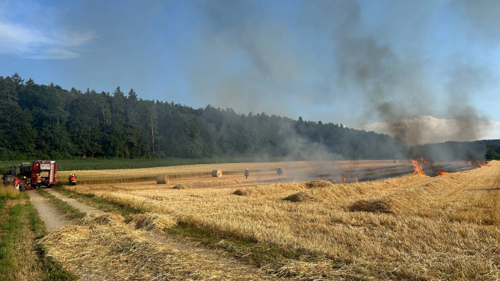 Im thurgauischen Gachnang breitete sich das Feuer auf ein Feld aus.