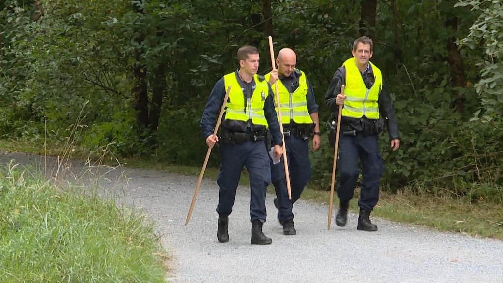 Vermisster 33-Jähriger: Grosse Suchaktion am Entlisberg