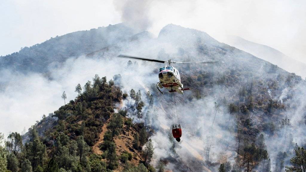 Ein Feuerwehrmann ist beim Bekämpfen eines Waldbrandes in Kalifornien ums Leben gekommen. (Themenbild)