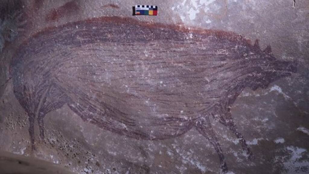 Auf der indonesischen Insel Sulawesi wurde 2017 diese Höhlenmalerei eines Warzenschweins gefunden. Inzwischen wurde das Gemälde, das links über dem Gesäss der Sau mit Handabdrücken «signiert» ist, mittels Uranreihen-Datierung auf 45'500 Jahre geschätzt. Das bedeutet Altersrekord. (Pressebild)