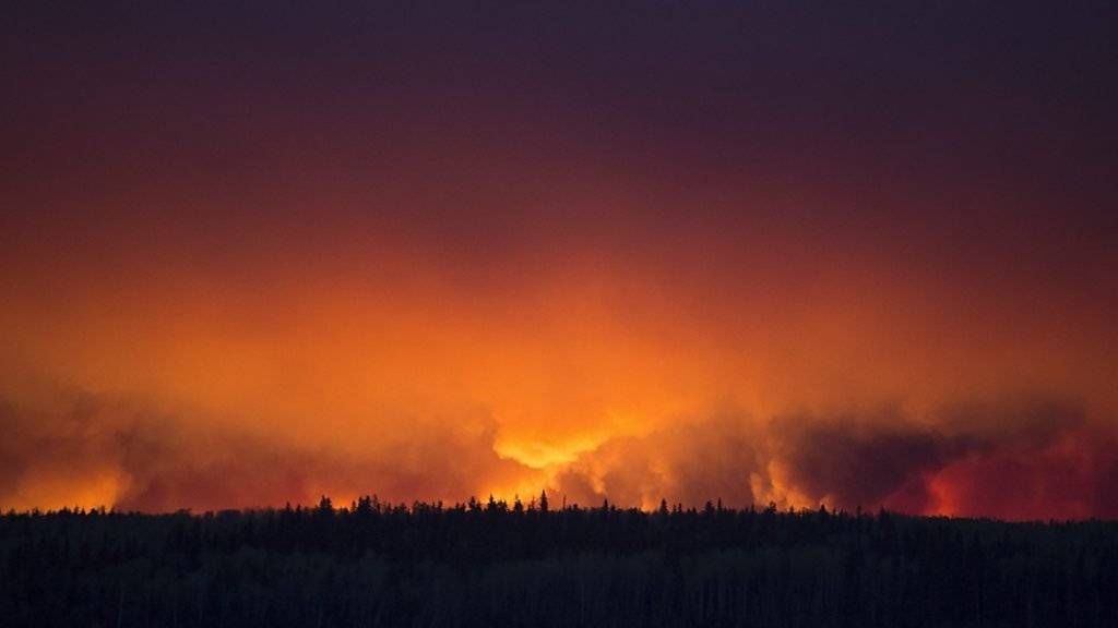 Feuer am Horizont: In Kanada bringt die Regierung der Provinz Alberta Menschen vor den Waldbränden in Sicherheit.