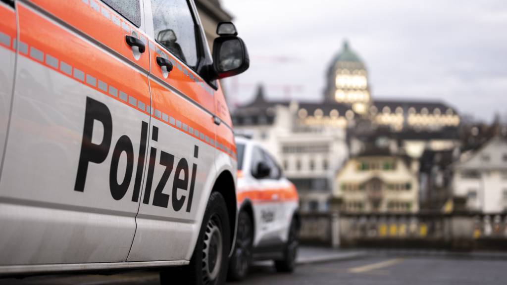 Rammbock-Einbrecher wollen Zürcher Secondhand-Laden leerräumen