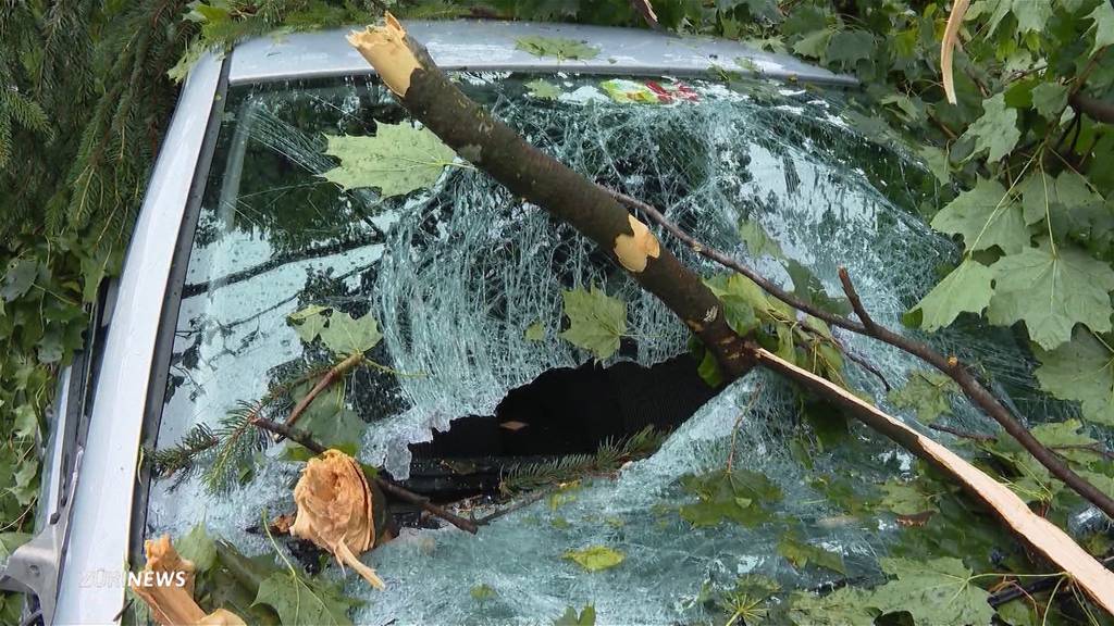 «Als wären wir inmitten eines Tornados»: So stark wütete der Hagelsturm am Käferberg