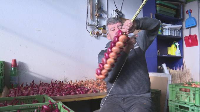 Ein besonderer Zopf für den Zibelemärit