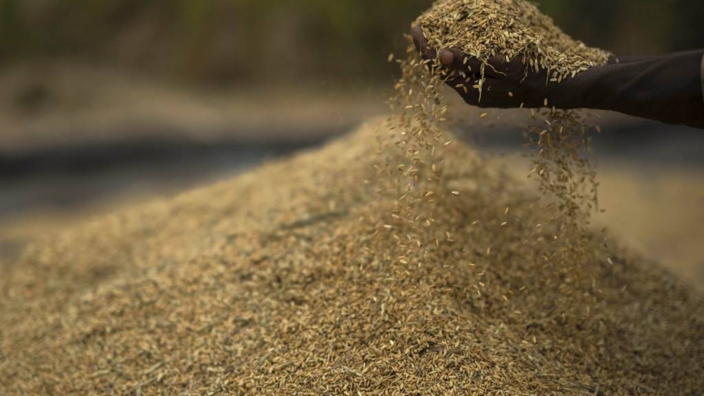 Von Reis bis Rückversicherung: Wo El Niño die Wirtschaft trifft
