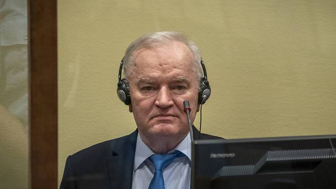 UN-Tribunal bestätigt lebenslange Haft für Ex-General Mladic