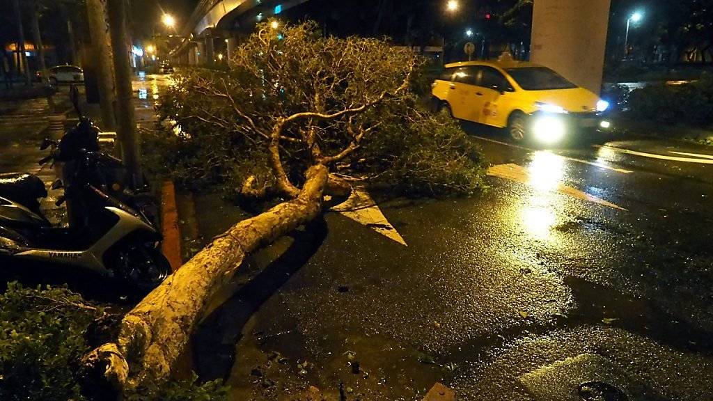 Taifun «Dujuan» fällt Baum auf Strasse in der taiwanesischen Stadt Taipeh