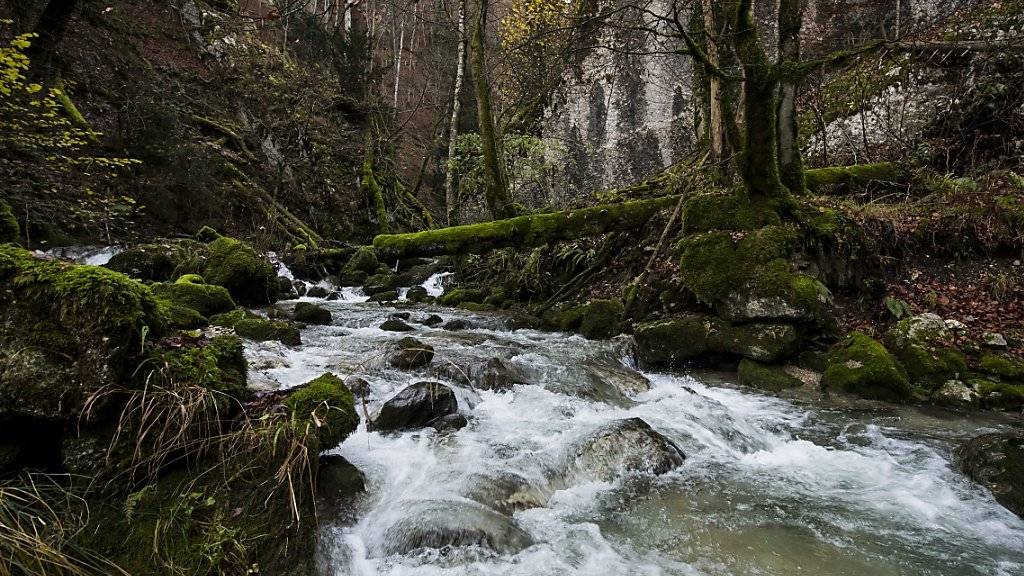 Das Waadtländer Kantonsgericht muss insbesondere die Wirtschaftlichkeit des in der Schlucht von Covatannaz am Fuss des Waadtländer Jura geplanten Kleinwasserkraftwerks neu beurteilen.