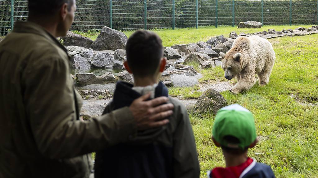 Zoo in Servion in der Waadt feiert sein 50-jähriges Bestehen