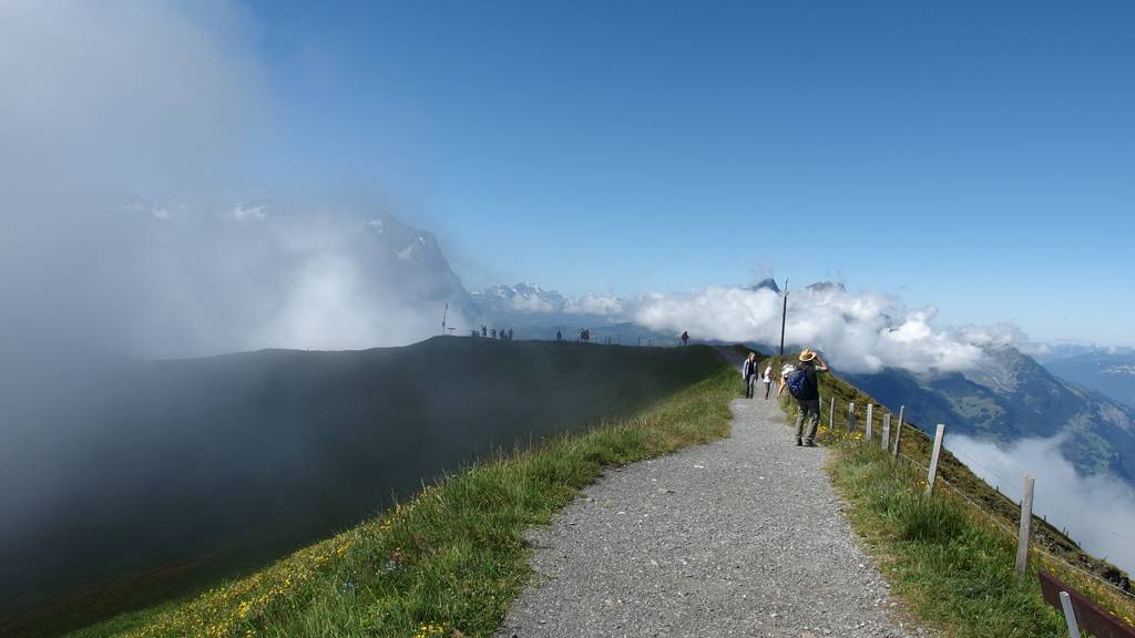 Ferientipp: Bergweltfaszination Alpentower