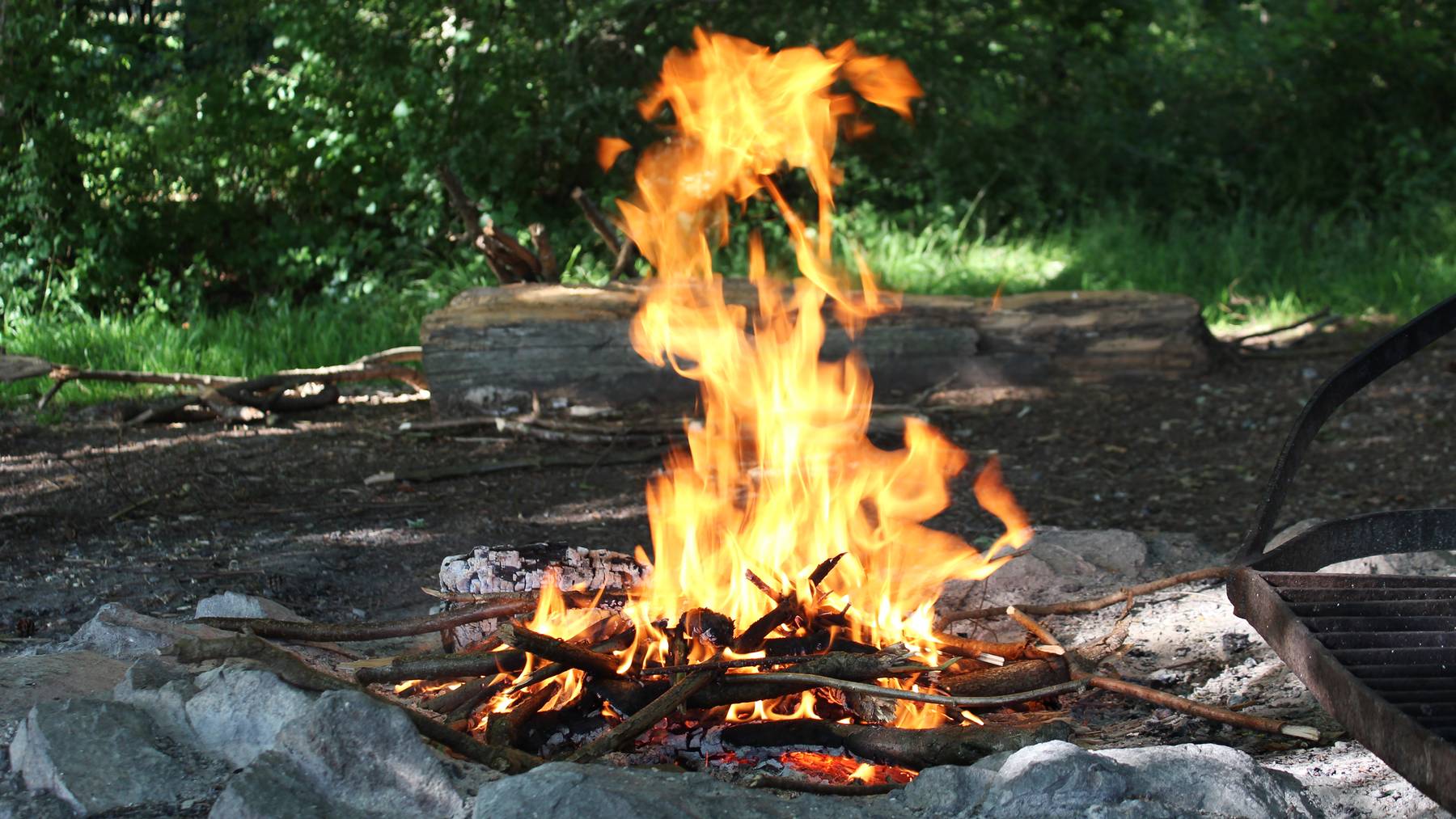 die schonsten grillplatze in und um zurich radio 24