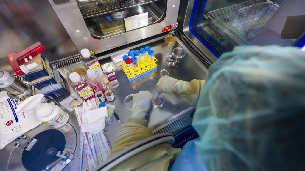 Lausanner Labor züchtet Haut für Brandverletzte von Crans-Montana