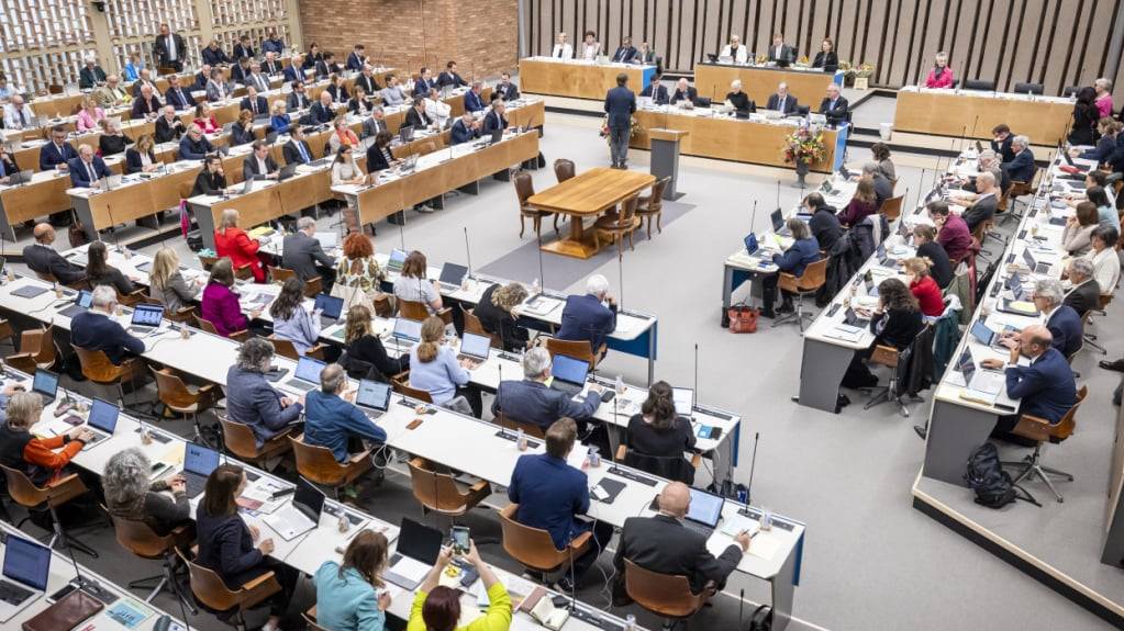 Babys dürfen neu im Saal des Kantonsrats Zürich dabei sein. Alleridngs dürfen Parlamtarierinnen sie nur für Abstimmungen mitnehmen. (Symbolbild)