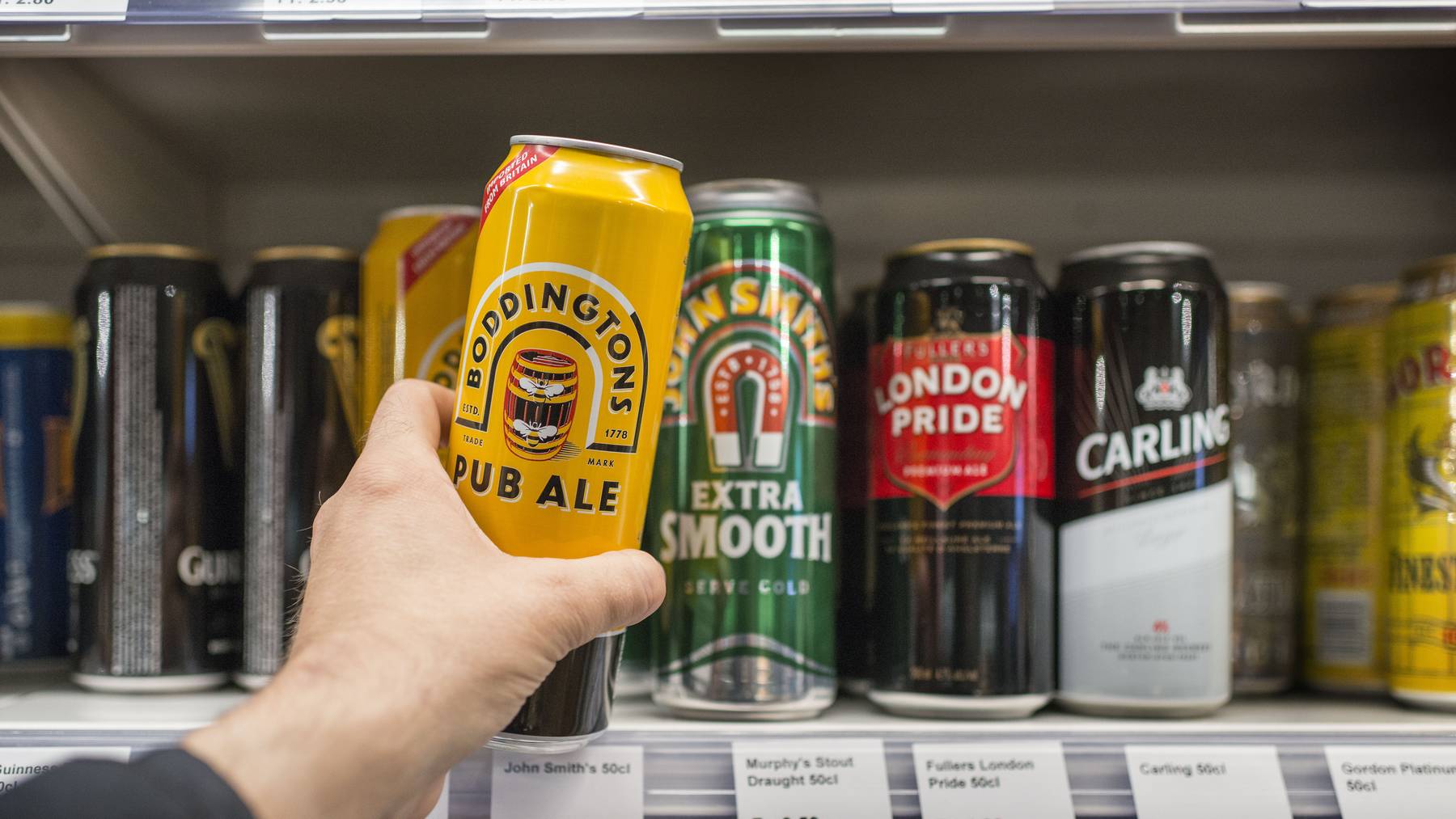 229738732_highres (1)