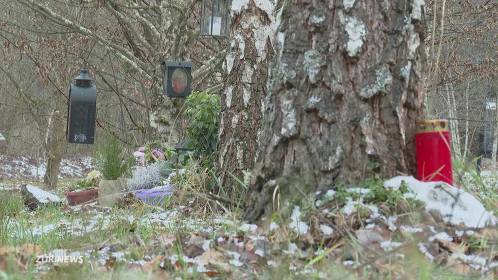 Winterthur stellt Waldstück für Gräber bereit